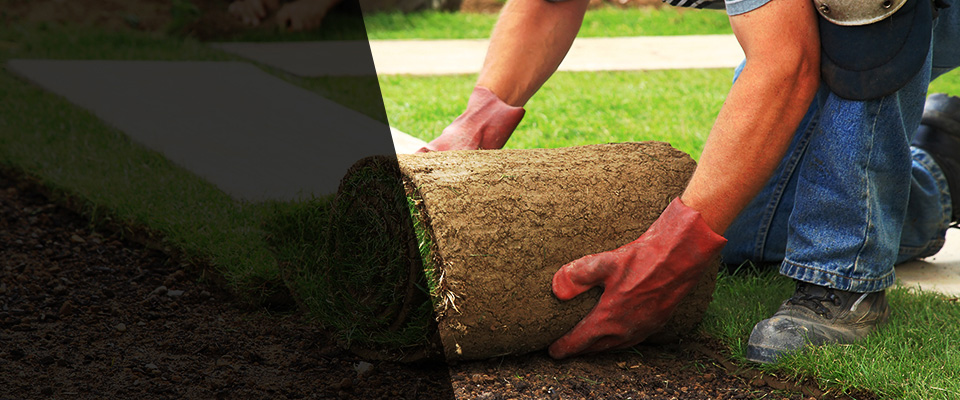 Berwick Landscapers